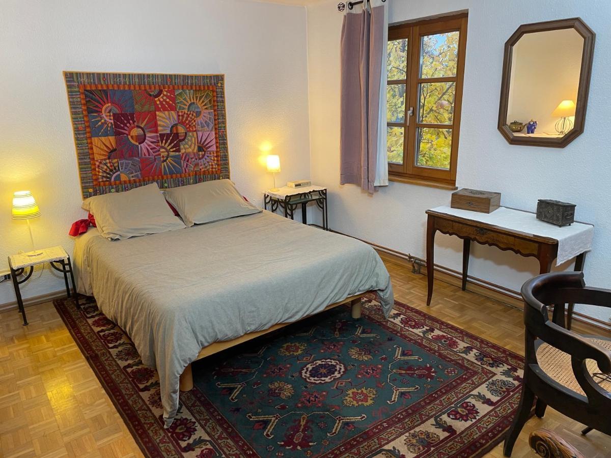 Chez Rosa Διαμέρισμα Αγκνώ Εξωτερικό φωτογραφία